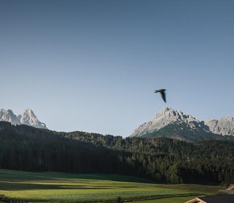 Sommer in Südtirol