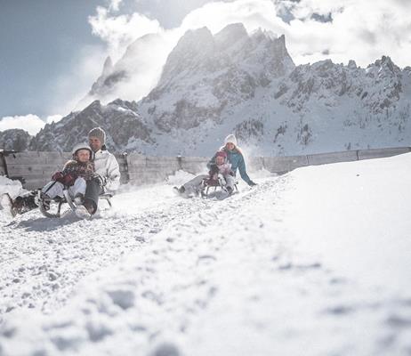 Tobogganing Family