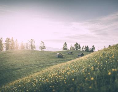 Mountain Pasture