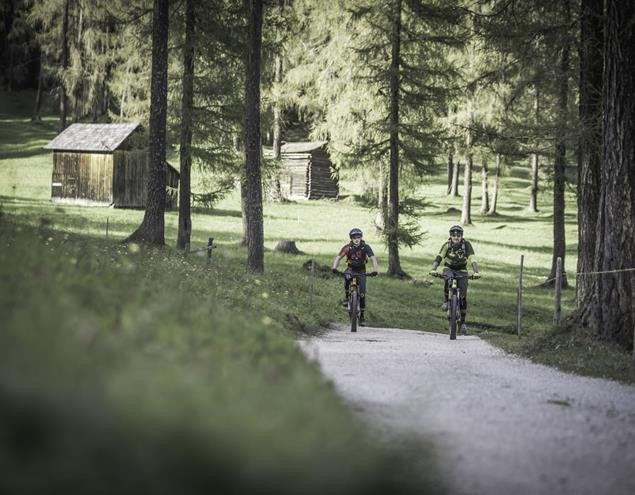 Nel bosco con la mountainbike