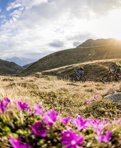 Andare con la mountain bike in estate