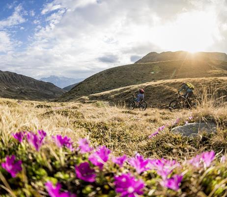 Andare con la mountain bike in estate