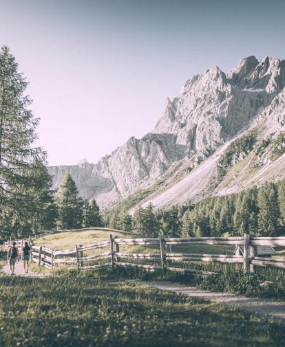 andermax-sommer-alm-3zinnen-kot-8178