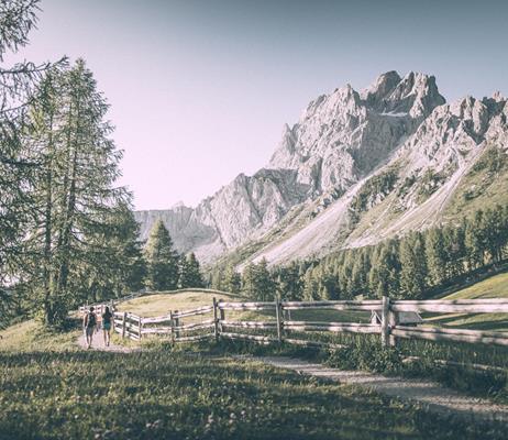 andermax-sommer-alm-3zinnen-kot-8178