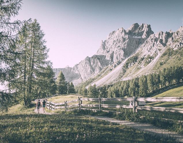 andermax-sommer-alm-3zinnen-kot-8178